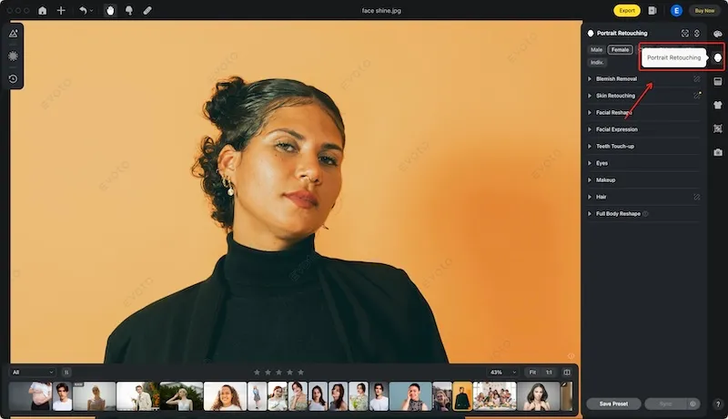 How to Remove Face Shine - Navigate to Portrait Retouching