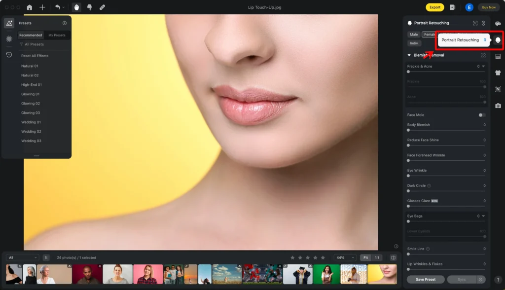 Select the Portrait Retouching Panel