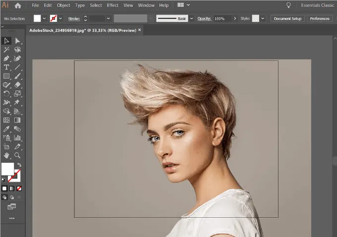 How to Crop Image in Illustrator