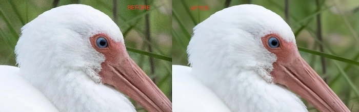 Noise Reduction Photoshop