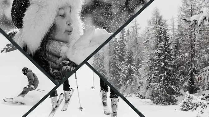 Les meilleurs logiciels de tri photo par IA pour les professionnels en 2026