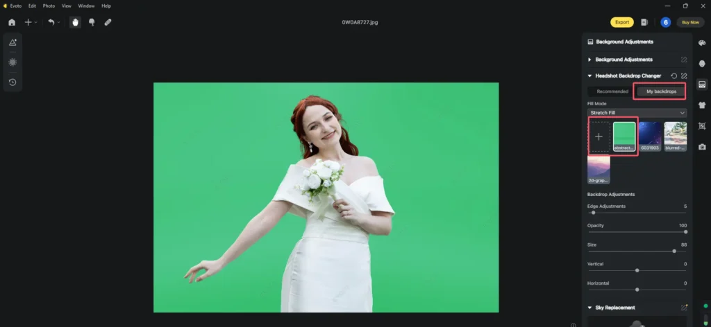 Add Green Color as a Green Screen Background in Evoto AI