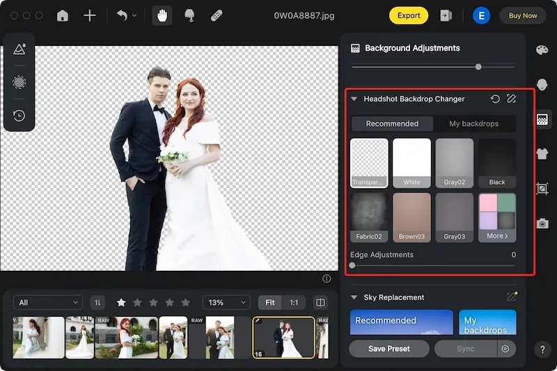 Background Replacement in Photo Editor for Wedding Pictures