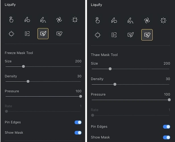 Liquify Tool on Evoto AI