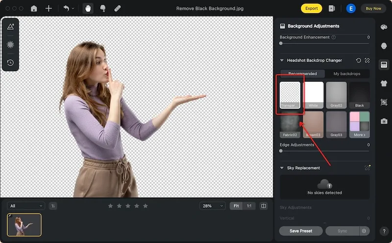 Remove Black Background with Evoto AI