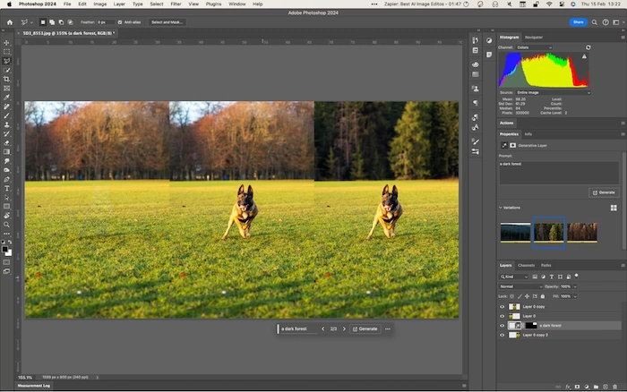 Adobe Photoshop Photo Editor