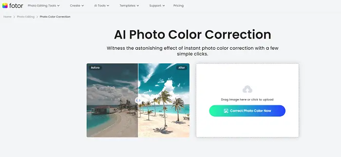 Fotor Color Correction Tool