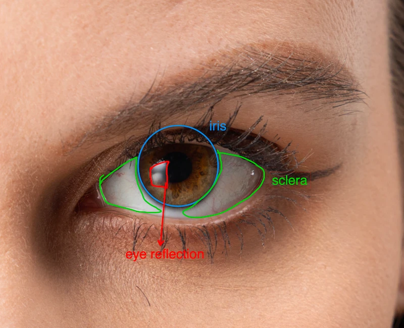 How to Enhance Eyes with Eye Retouching in Evoto AI