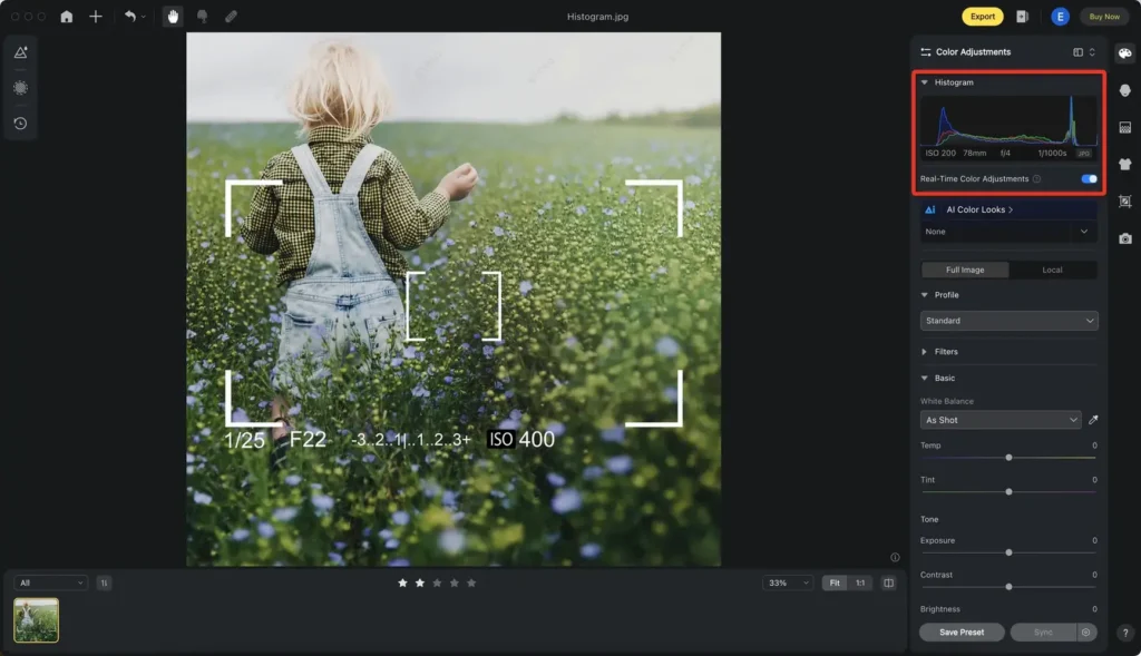 Image Histogram in Image Processing of Evoto