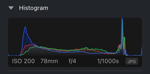 Image Histogram in Image Processing