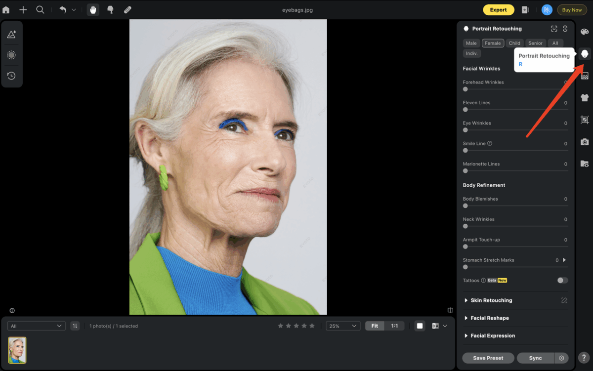 2 Portrait Retouching panel