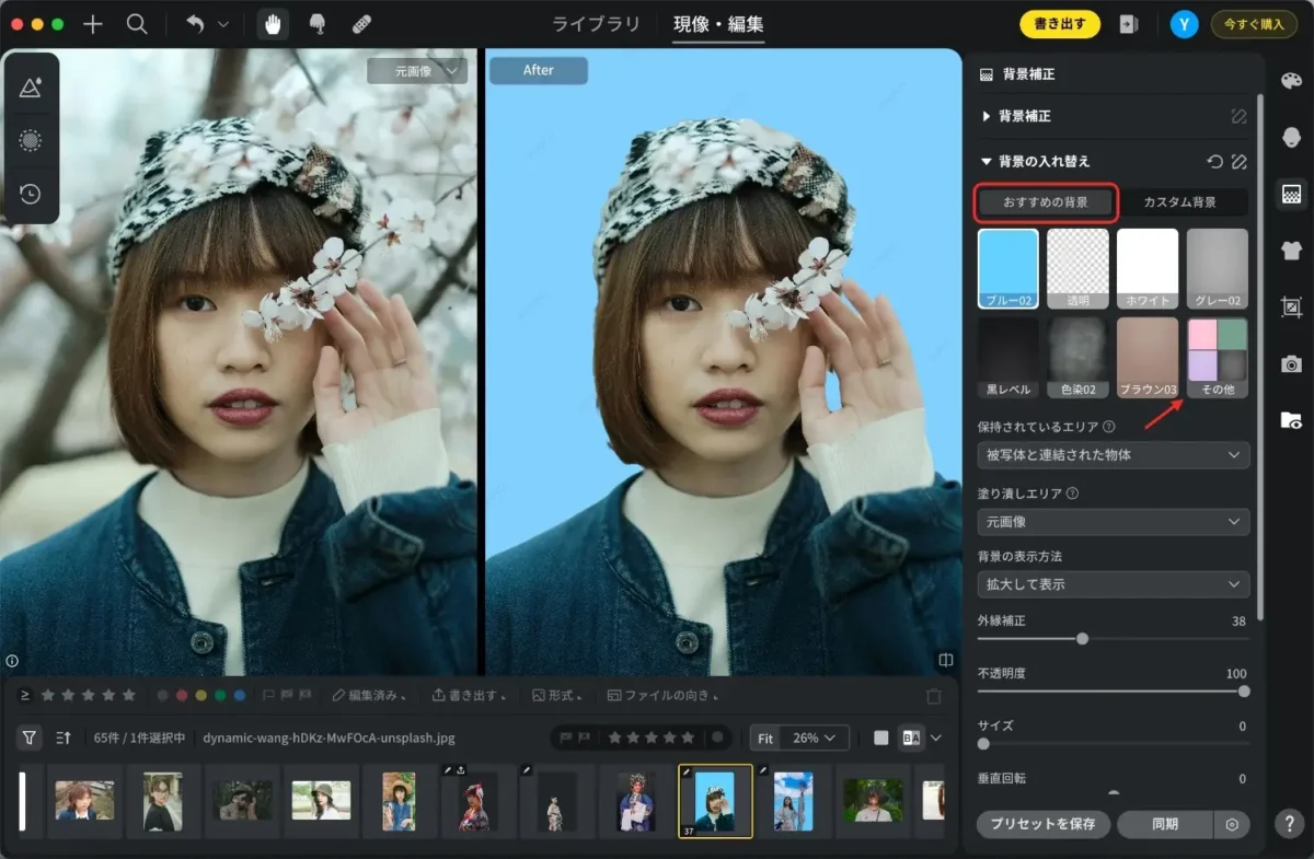 change-the-background-color-of-photo evoto ai 写真 の 背景 を 変える