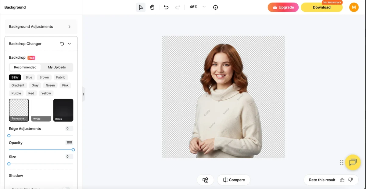 evoto web 2
