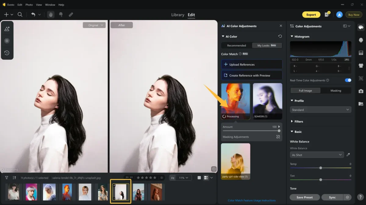 Change Image Color with Evoto 2 2 ai Change Image Color with Evoto-2