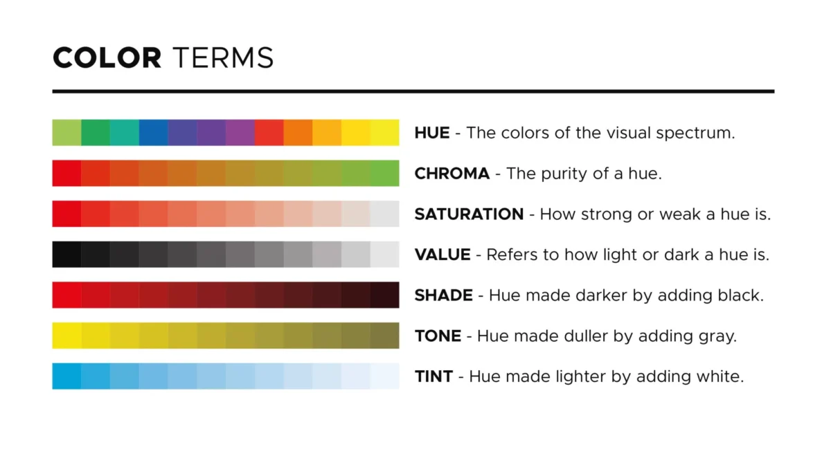 ColorTerms color terms
