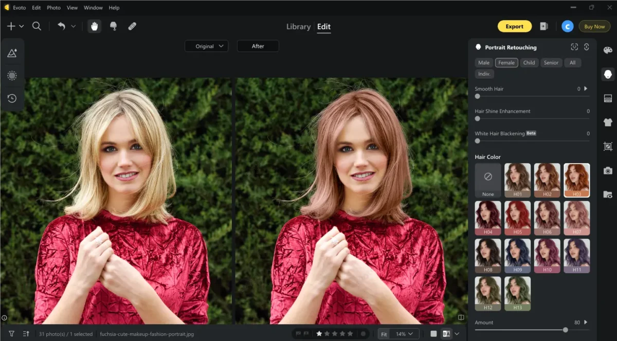 Hair Color Try On in Evoto 1 Hair Color Try On in Evoto