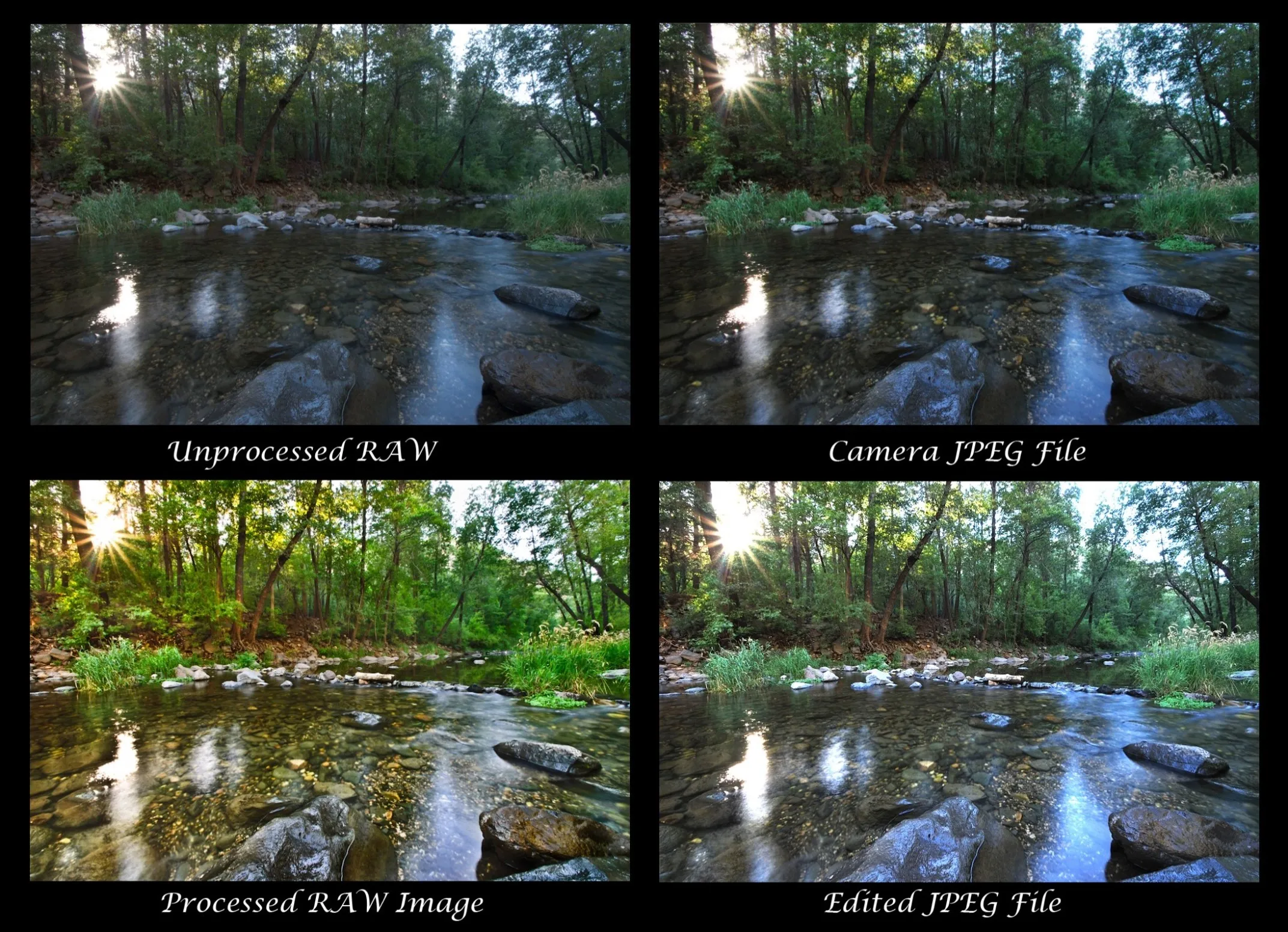 raw vs jpeg editing