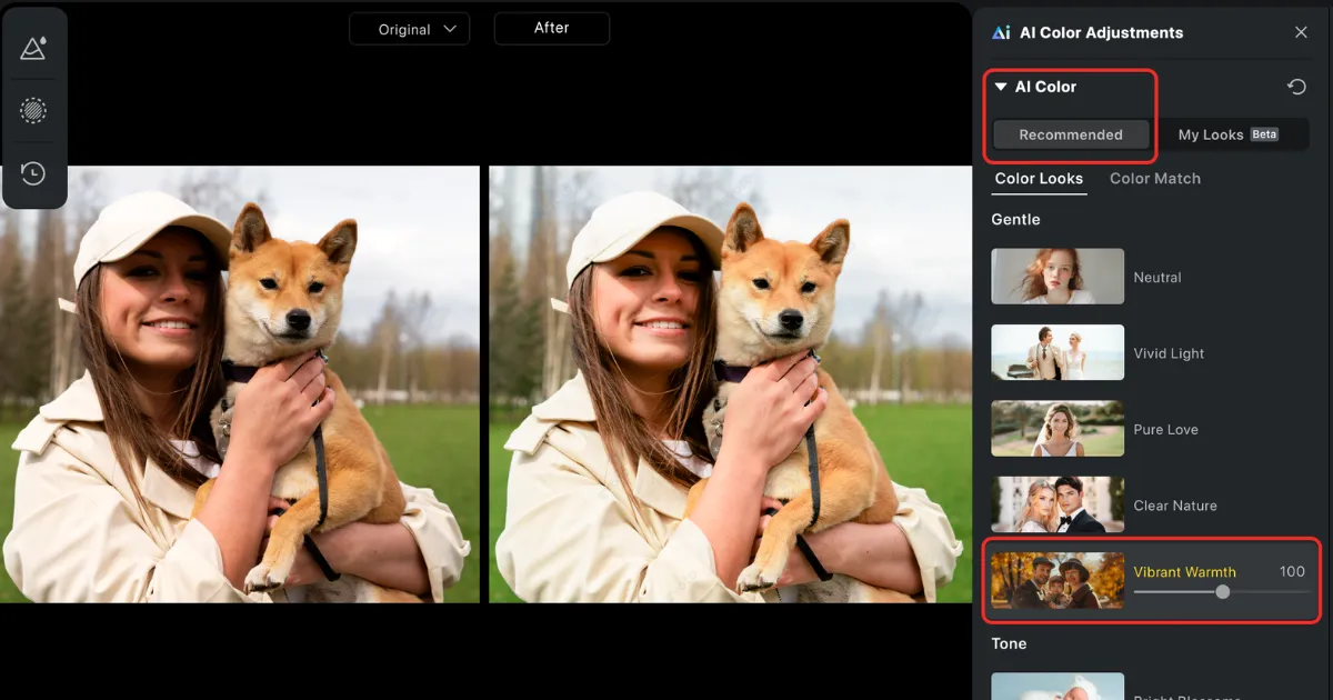 ai color looks ai color looks