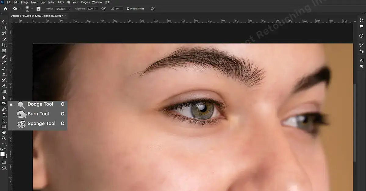 Use Dodge and Burn in Photoshop 1 Use Dodge and Burn in Photoshop