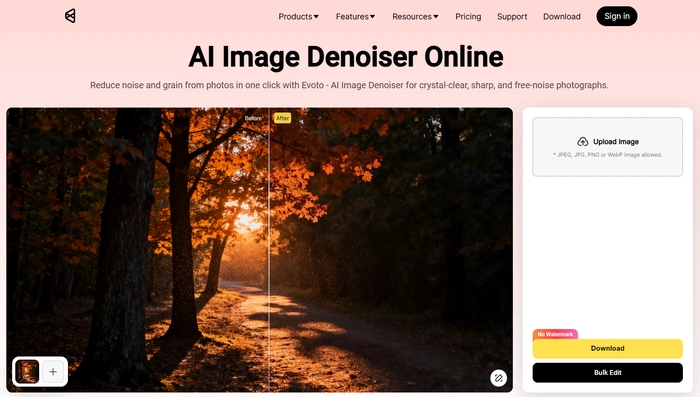 Evoto Online AI Noise Remover