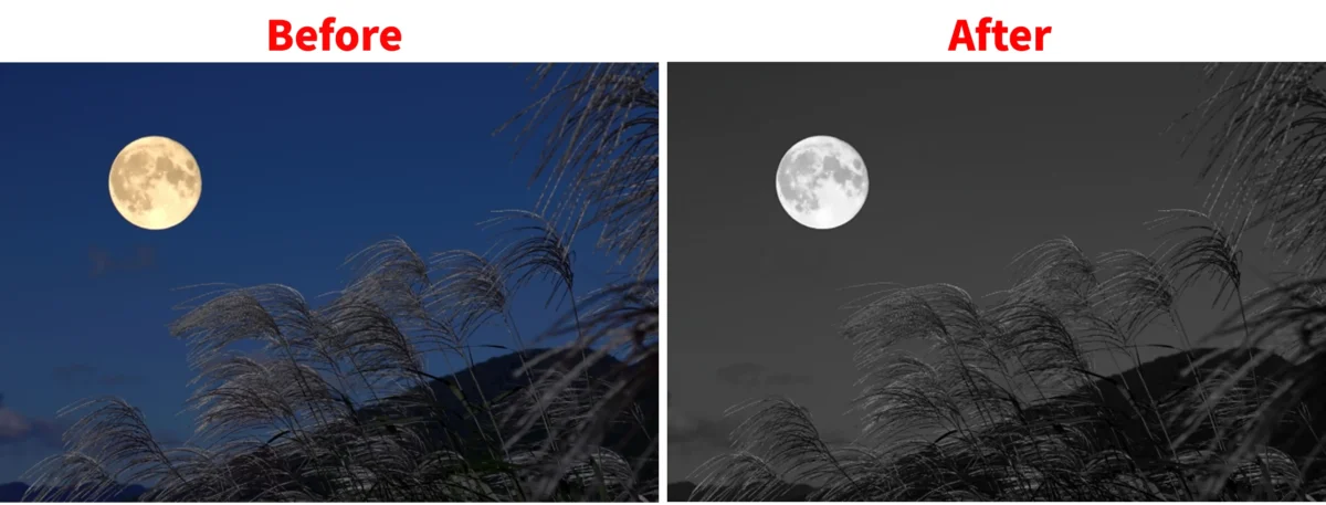 写真を白黒加工する前後の比較画像