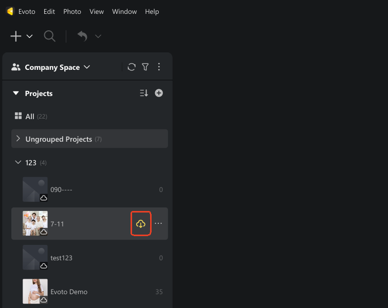 download-photo-project-from-cloud-storage-Evoto