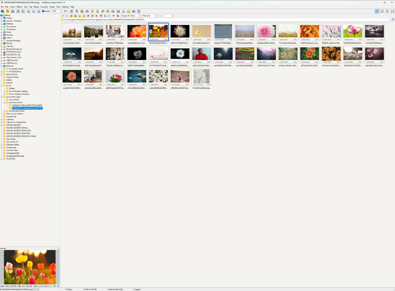 Photo Preview Software 10 Best Photo Gallery Software Options for Professionals in 2025