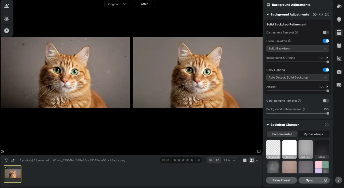 pet-photography-background-replacer pet photography background replacer