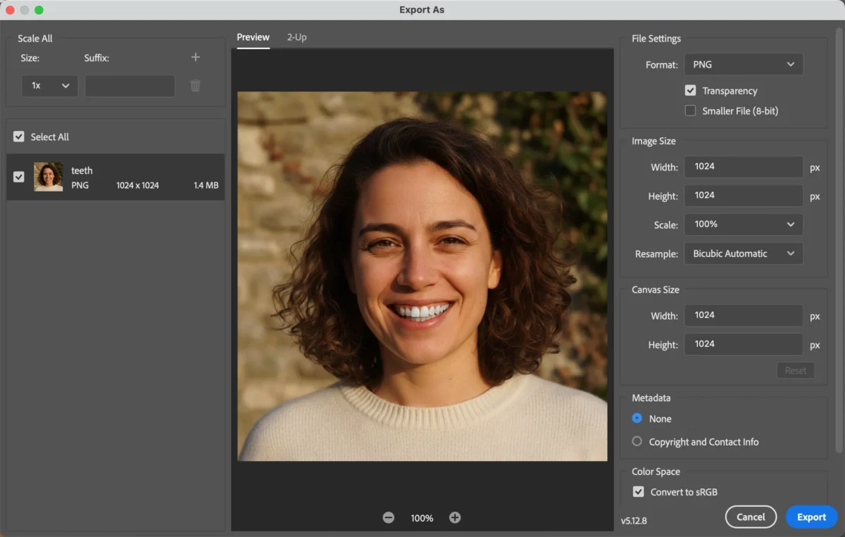 Check the Result and Save 1 Revisa el Resultado y Guarda