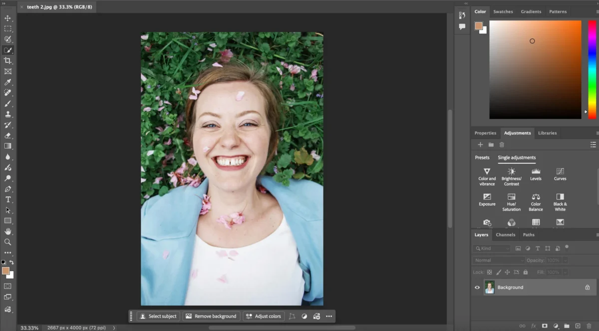 Duplicate the Layer