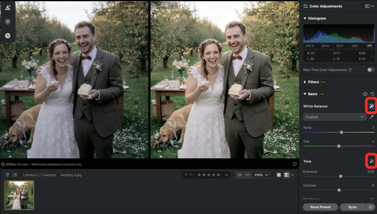 basic color and exposure adjustment