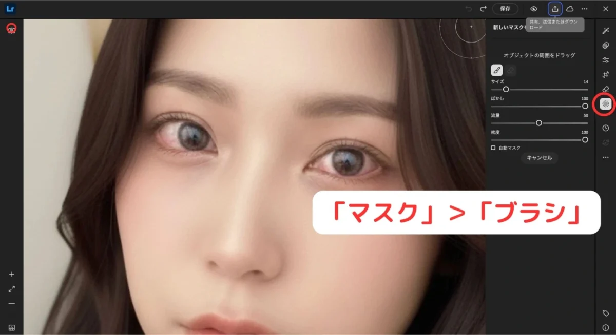 mask brush selection lightroom eye redness