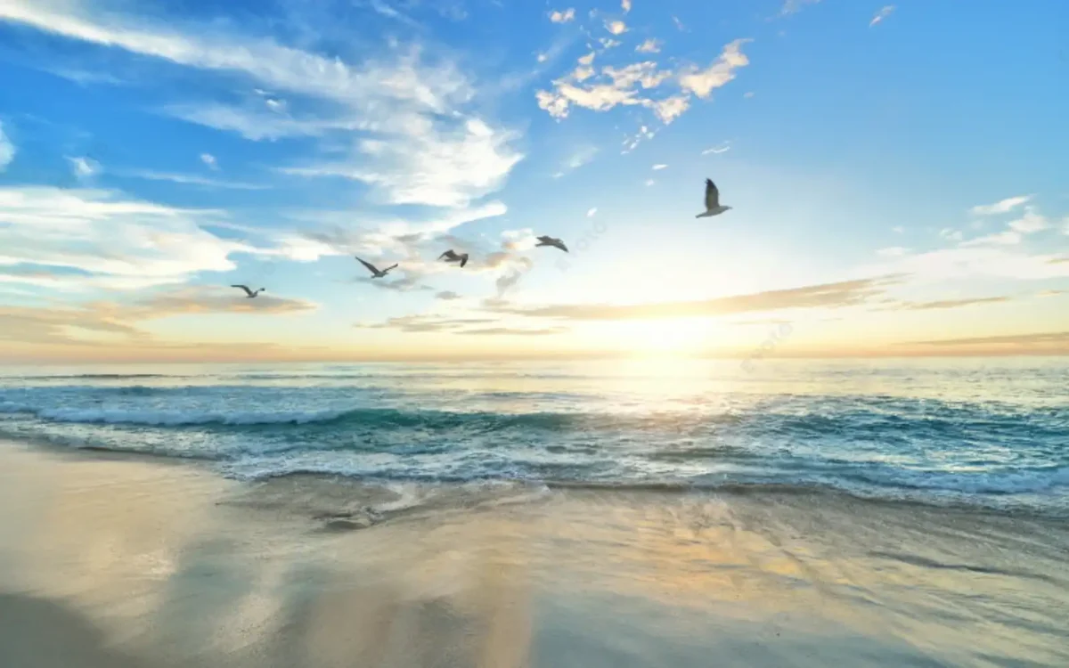 사진 수평선 맞추기