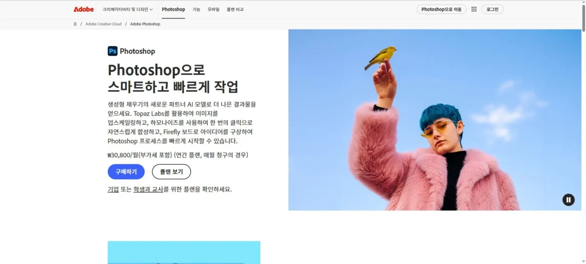 photo straightener 09