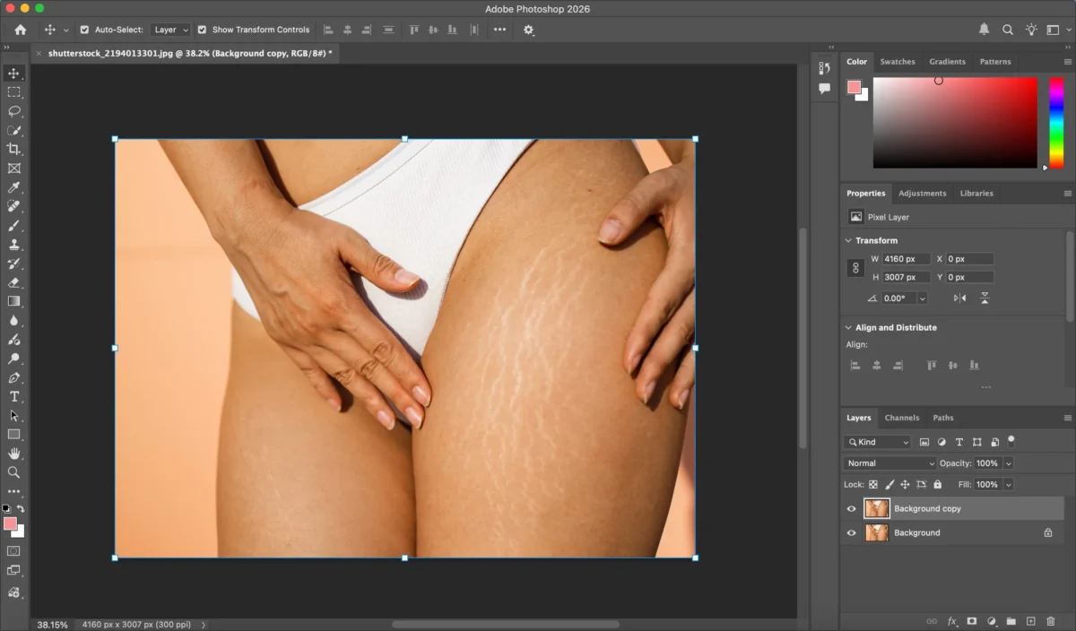 Duplicate the Background Layer
