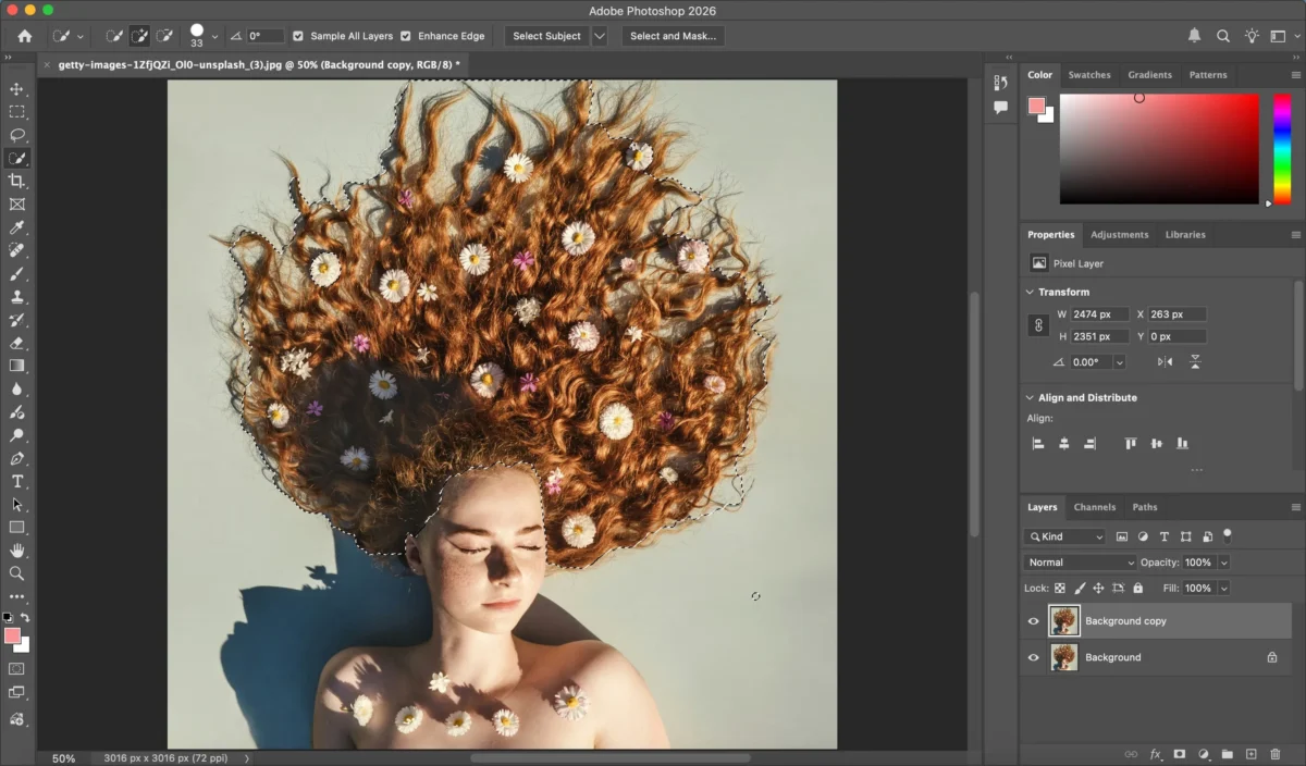 Select the Hair