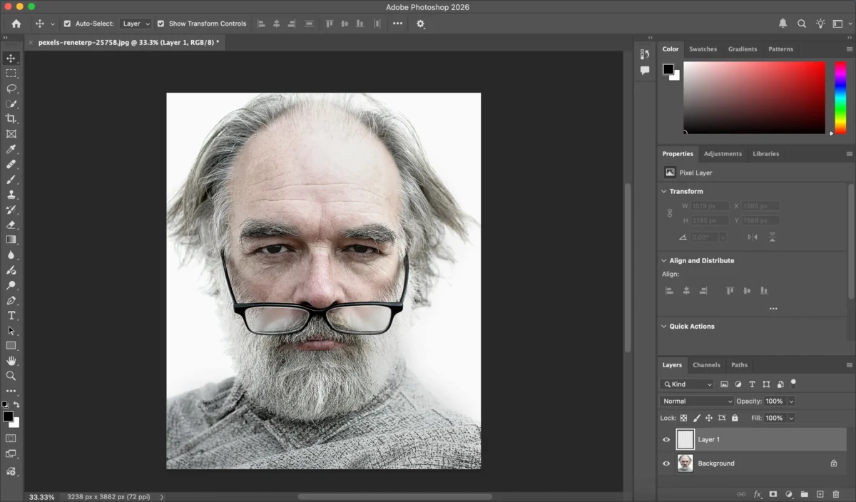 Add a New Blank Layer