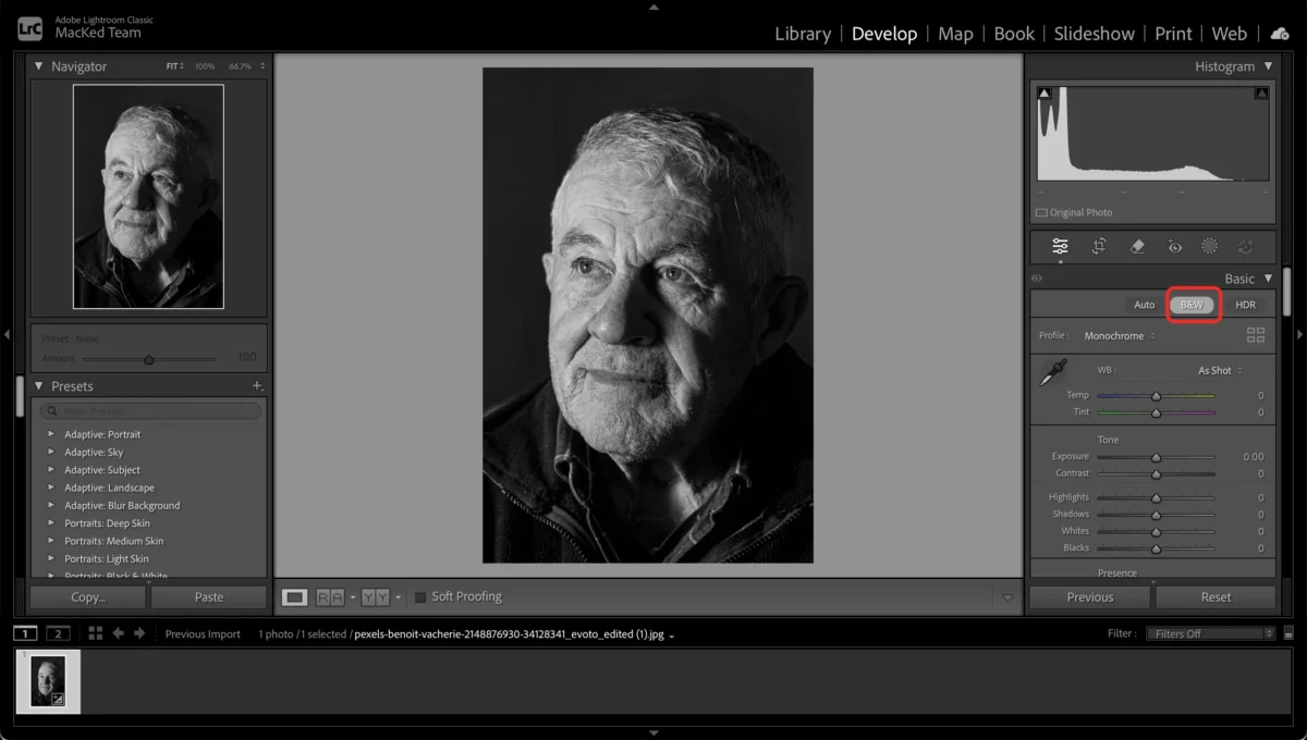 Convert to Black and White