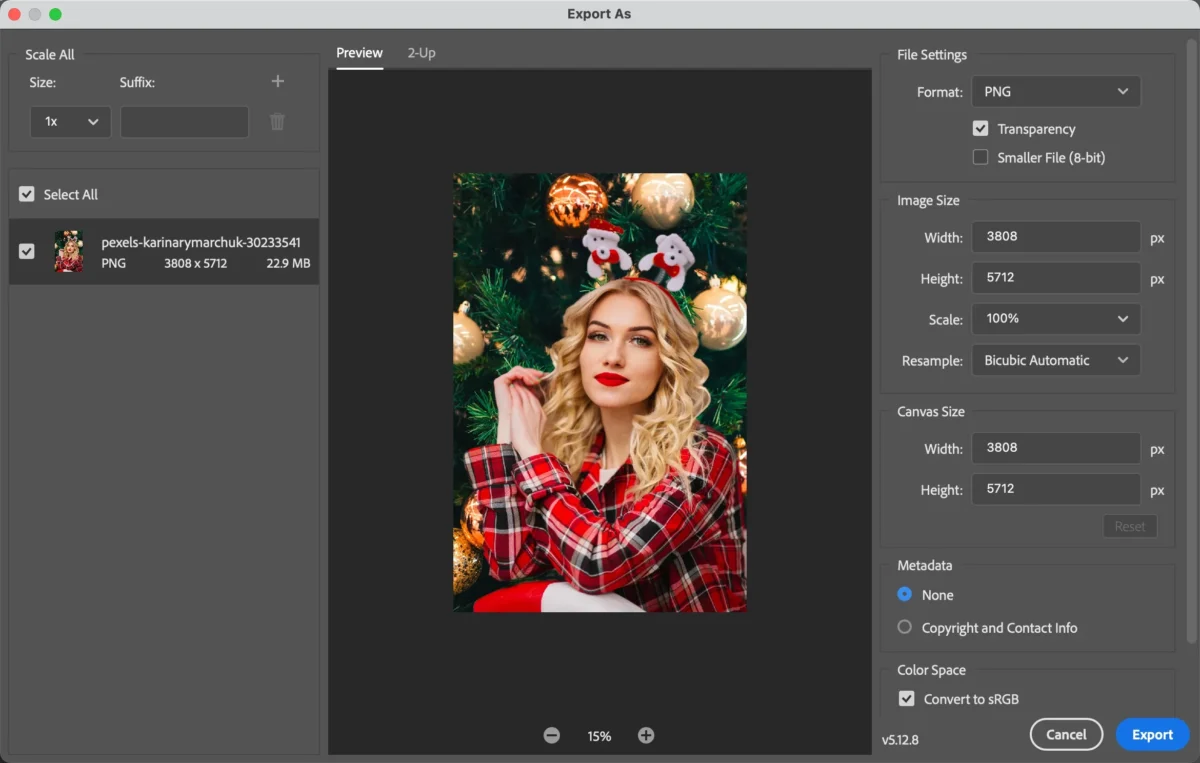 Exportar la Imagen Final