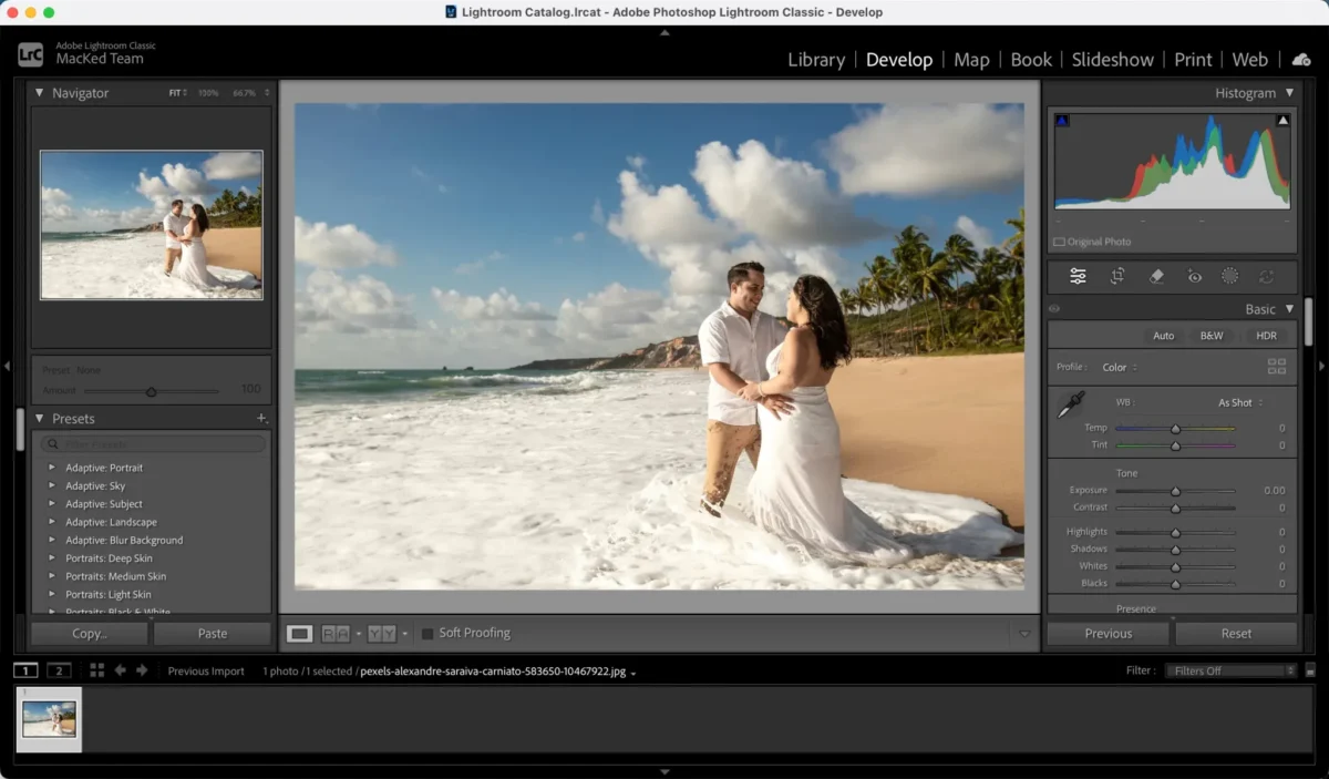 Bild in Photoshop importieren