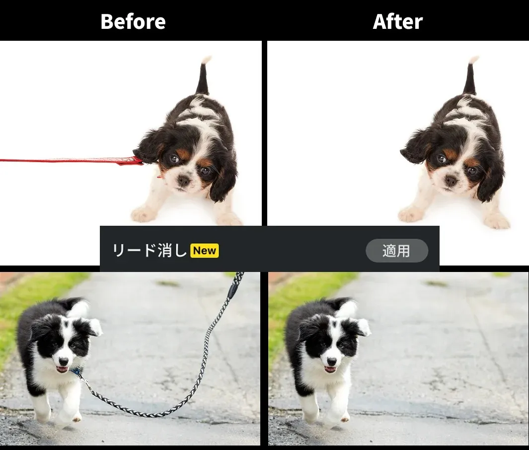 evotoペットのリード除去