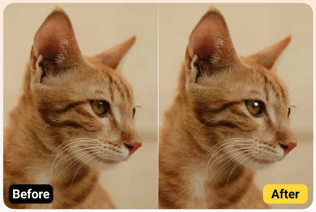 evoto ペット用キャッチライト追加