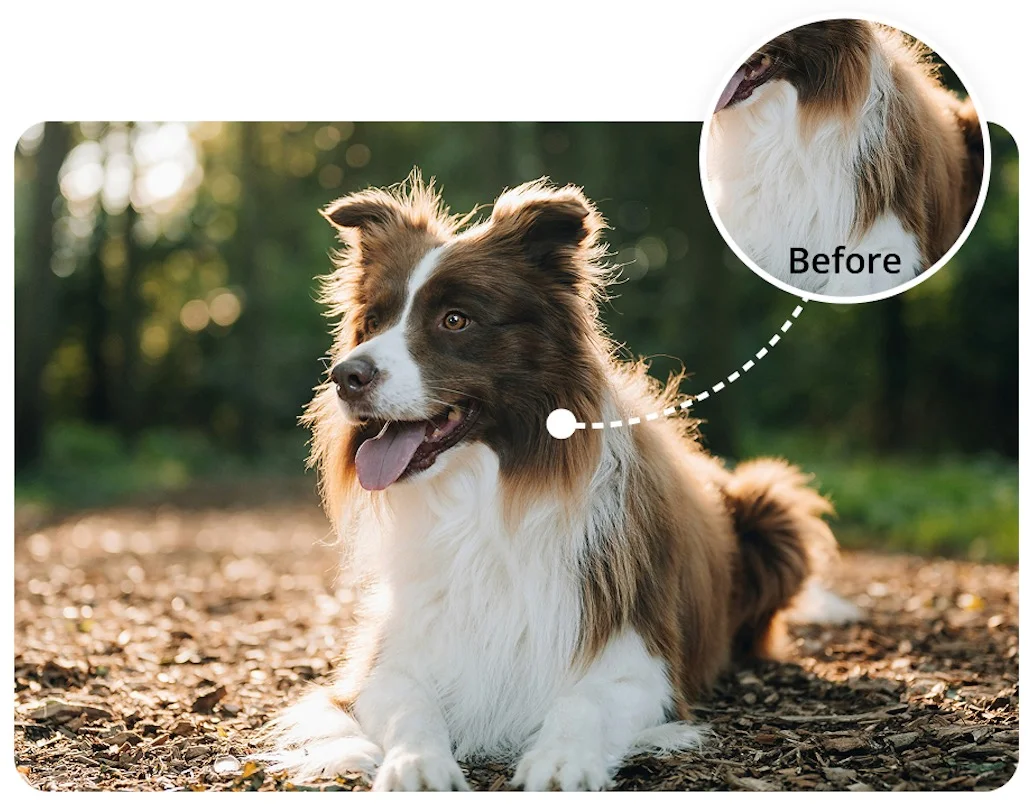 evoto ペットのほつれ毛除去