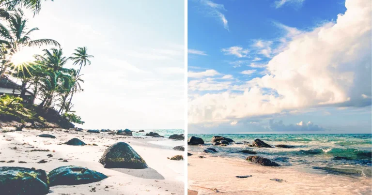 Cómo Oscurecer una Foto