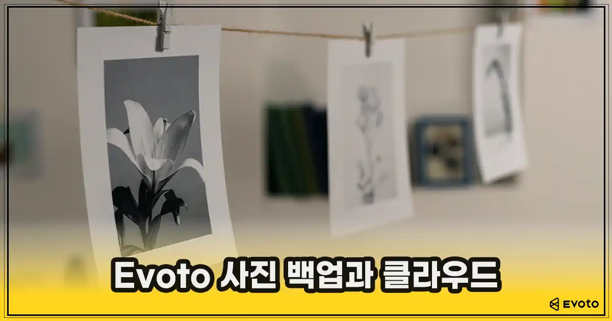 Evoto 사진 백업과 클라우드