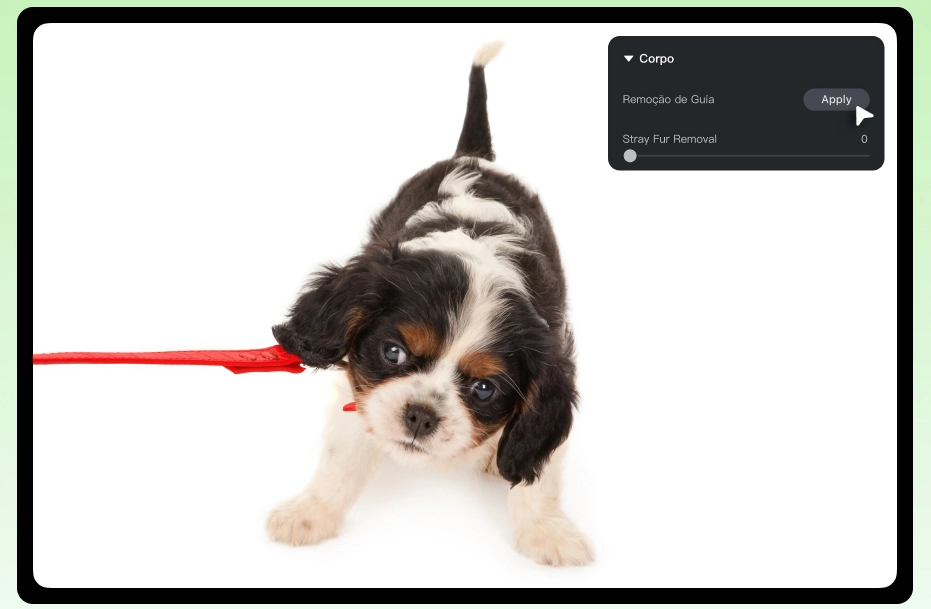 detectar e remover automaticamente detectar e remover automaticamente