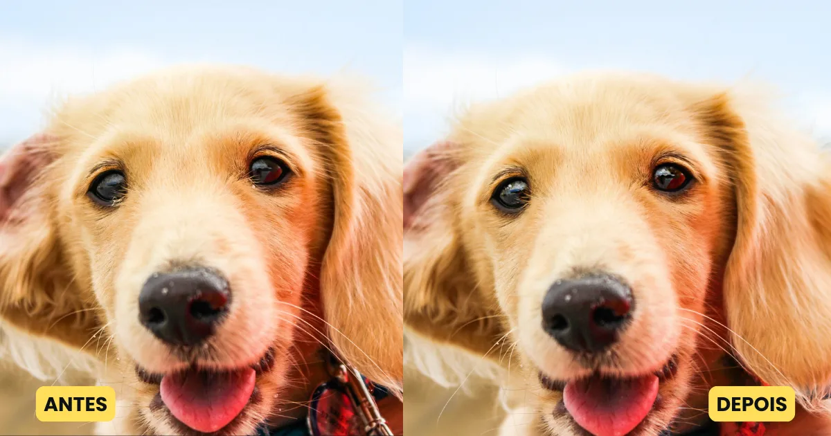 Fotografia Pet: Recursos de IA para Aprimoramento de Olhos e Retoque Corporal