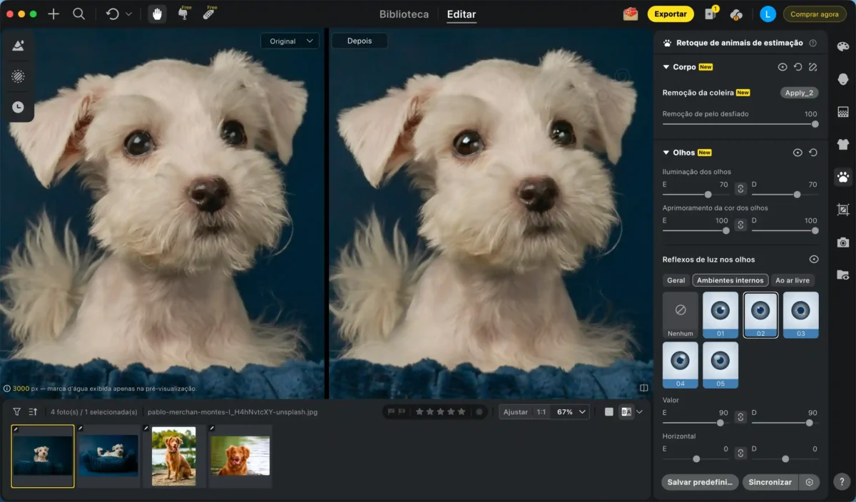 Aprimoramento de Olhos com IA Aprimoramento de Olhos com IA