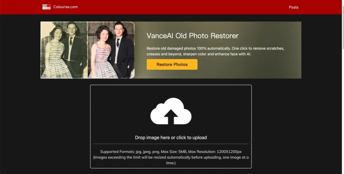 Bild kolorieren mit Colourise