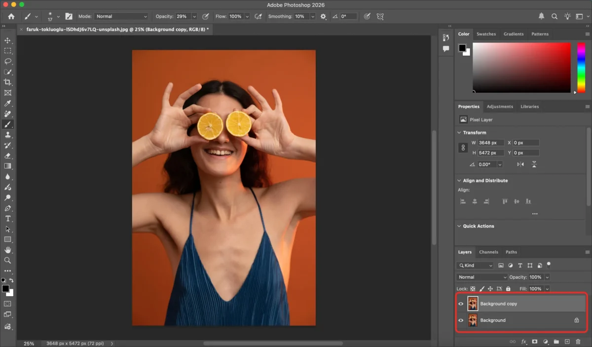 Duplicate the Background Layer Duplicate the Background Layer
